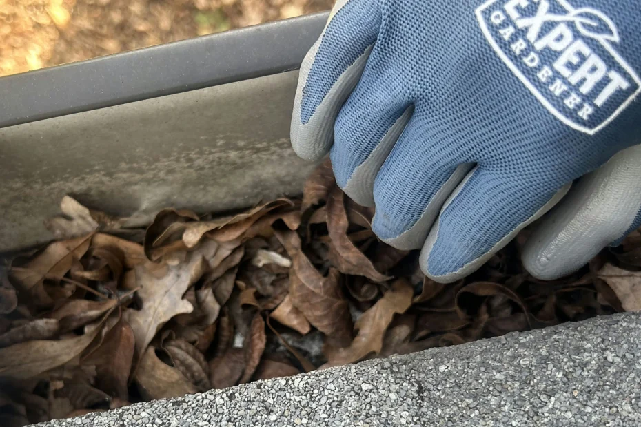 Gutter Cleaning Stedman